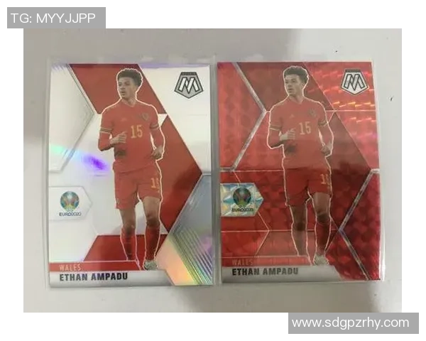 帕尼尼手雷马赛克足球卡收藏价值解析与球星卡市场前景分析